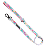 DOG LEASH: Follow The Rainbow