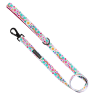 DOG LEASH: Follow The Rainbow