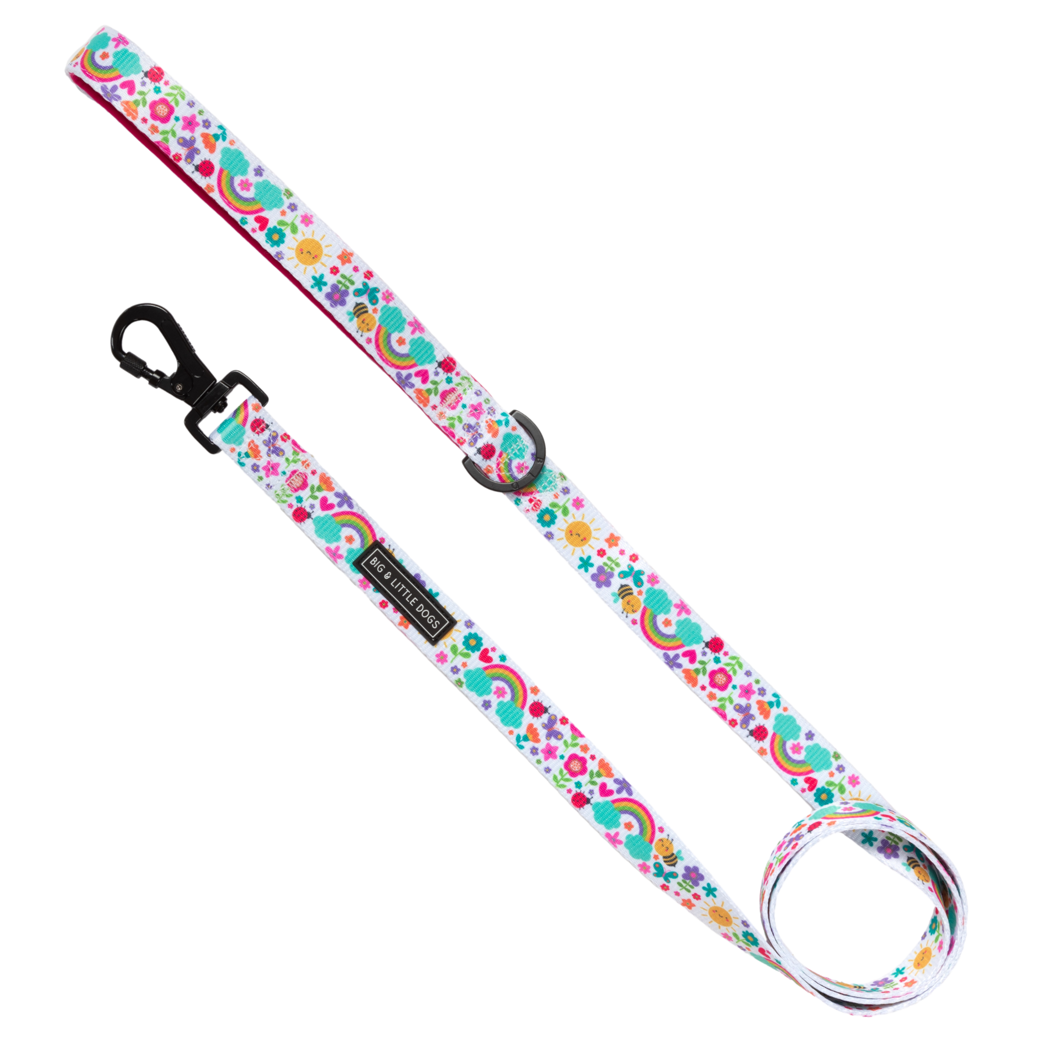 DOG LEASH: Follow The Rainbow