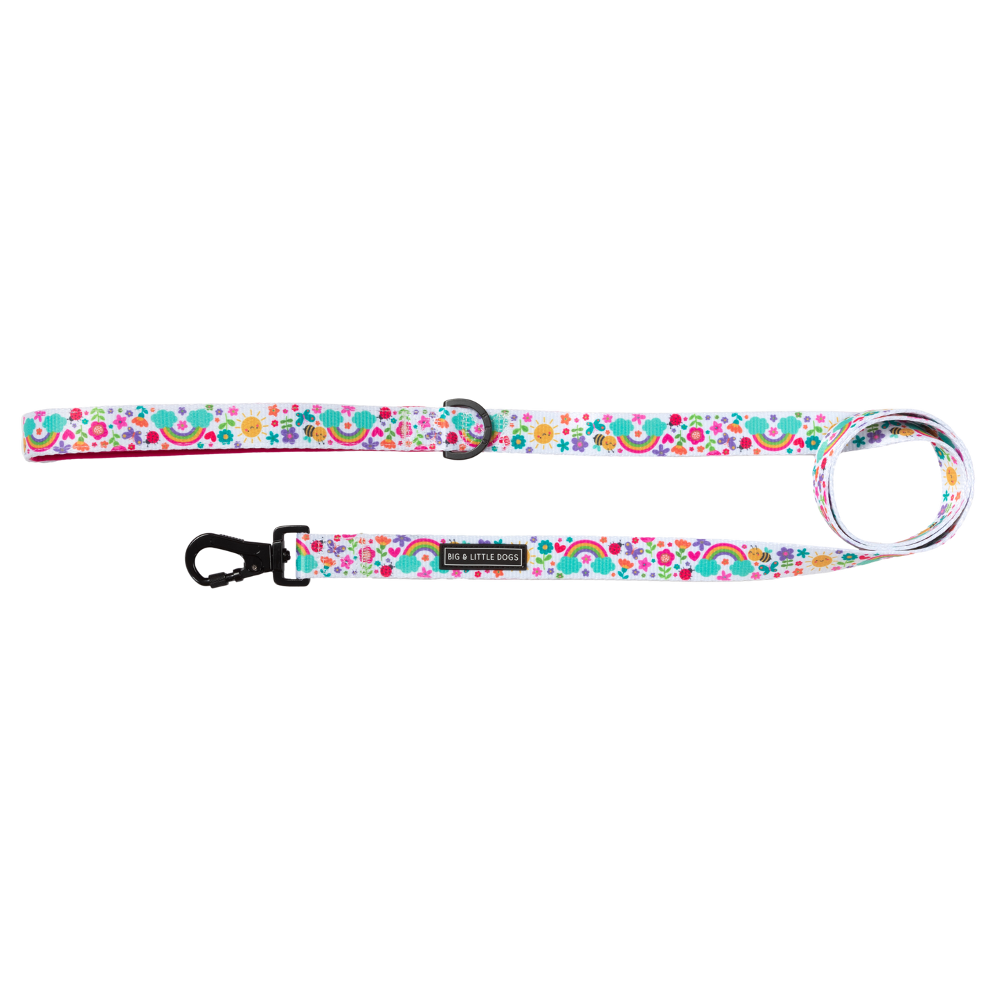 DOG LEASH: Follow The Rainbow