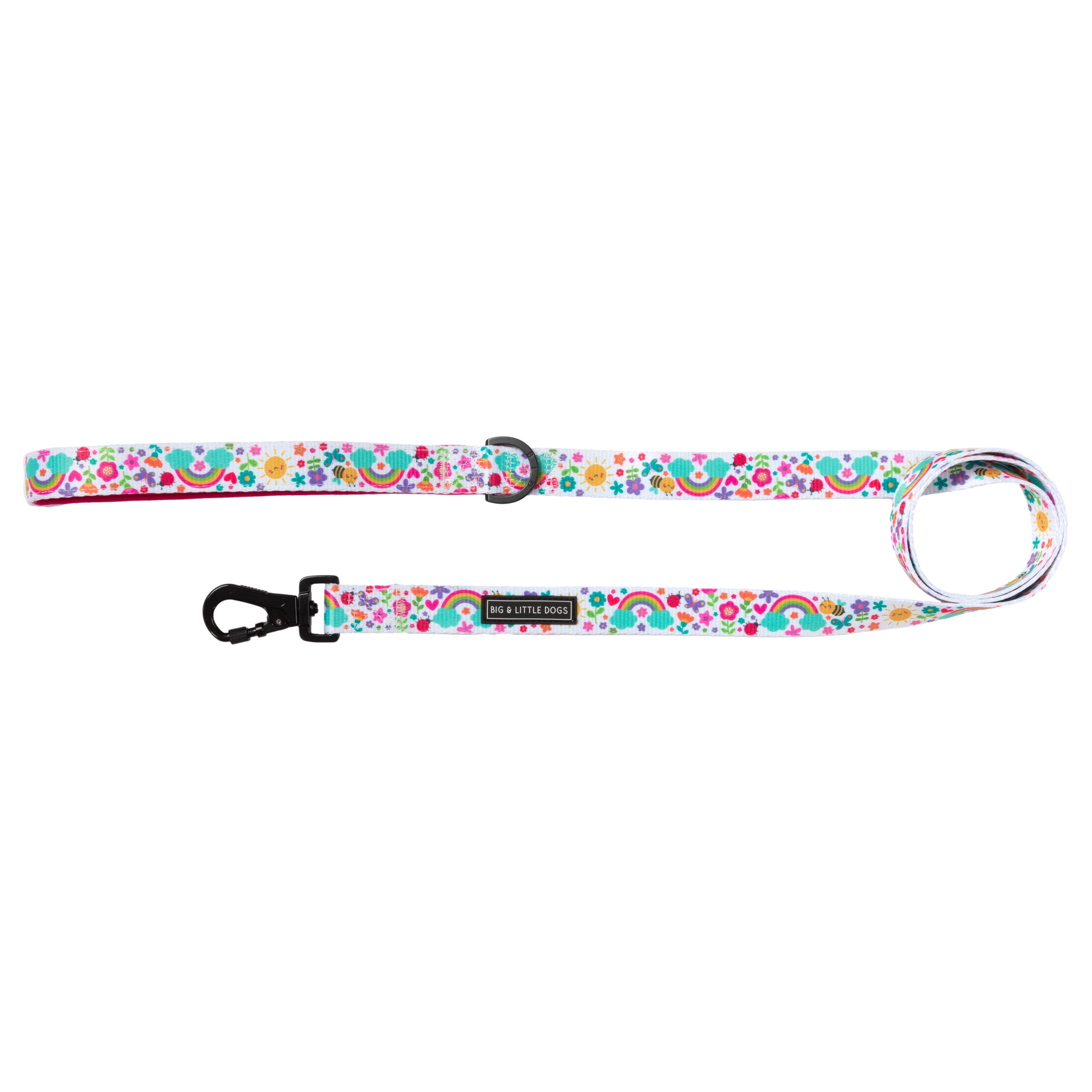 DOG LEASH: Follow The Rainbow