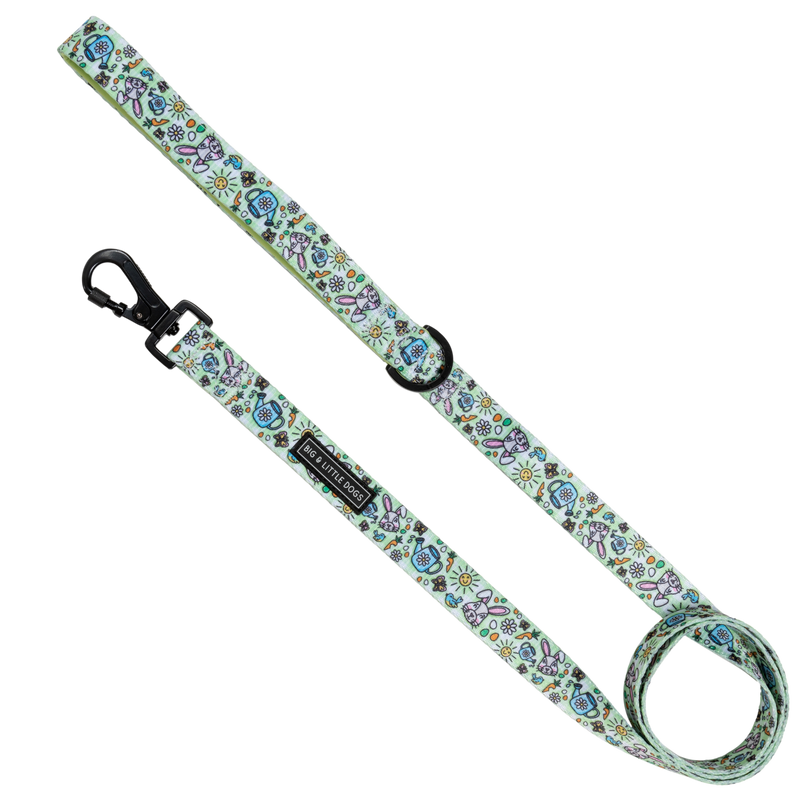 Dog Comfort Leash Hey There Hop Stuff Easter Bunny Garden Carrot Eggs