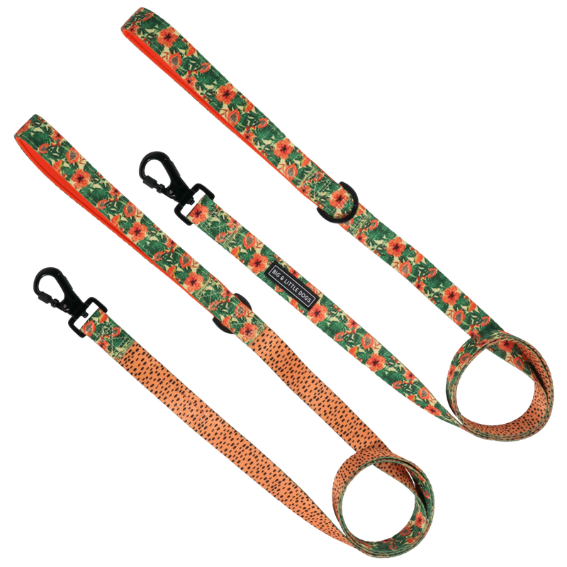 DOG LEASH: Paw Paw Pawesome {FINAL SALE}