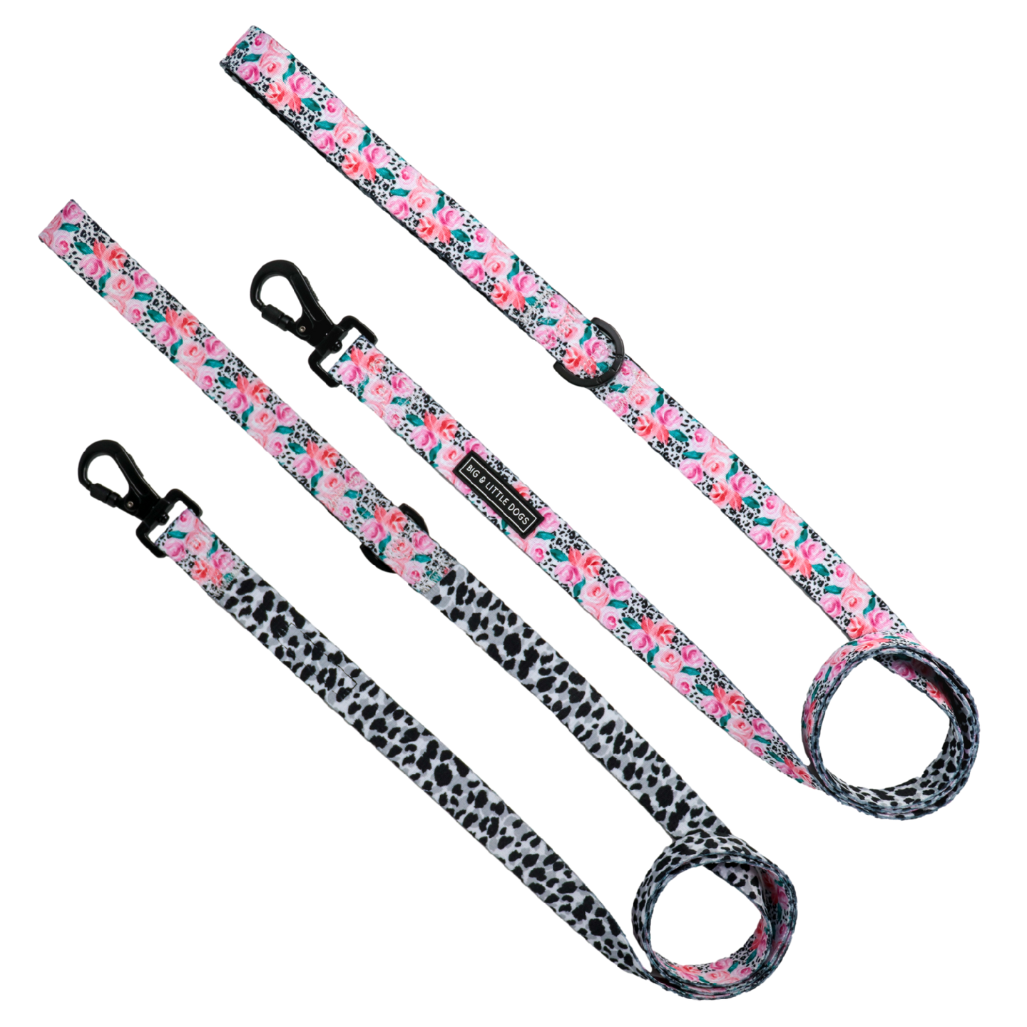 DOG LEASH: Pretty as a Peony (matches Reversible design) {FINAL SALE}