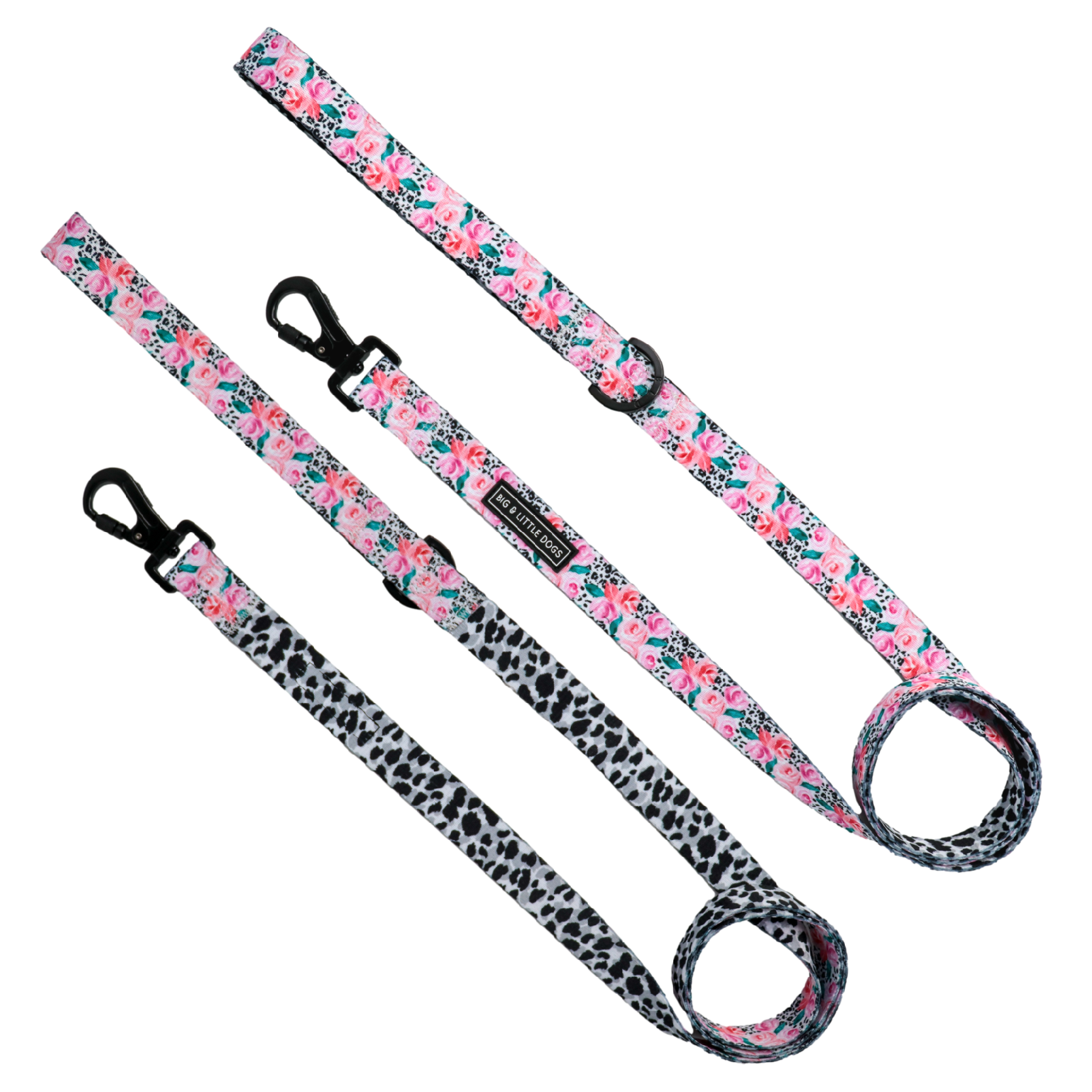 DOG LEASH: Pretty as a Peony (matches Reversible design) {FINAL SALE}