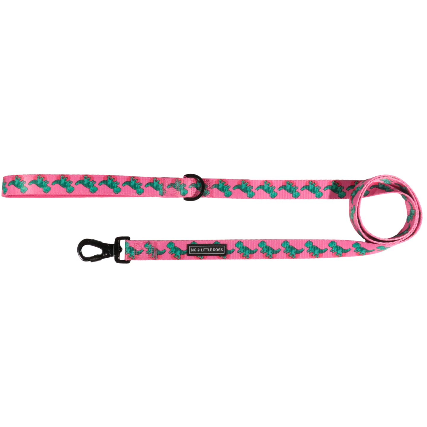 DOG LEASH: Princess-asaurus {FINAL SALE}