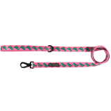 DOG LEASH: Princess-asaurus {FINAL SALE}