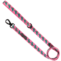 DOG LEASH: Princess-asaurus {FINAL SALE}