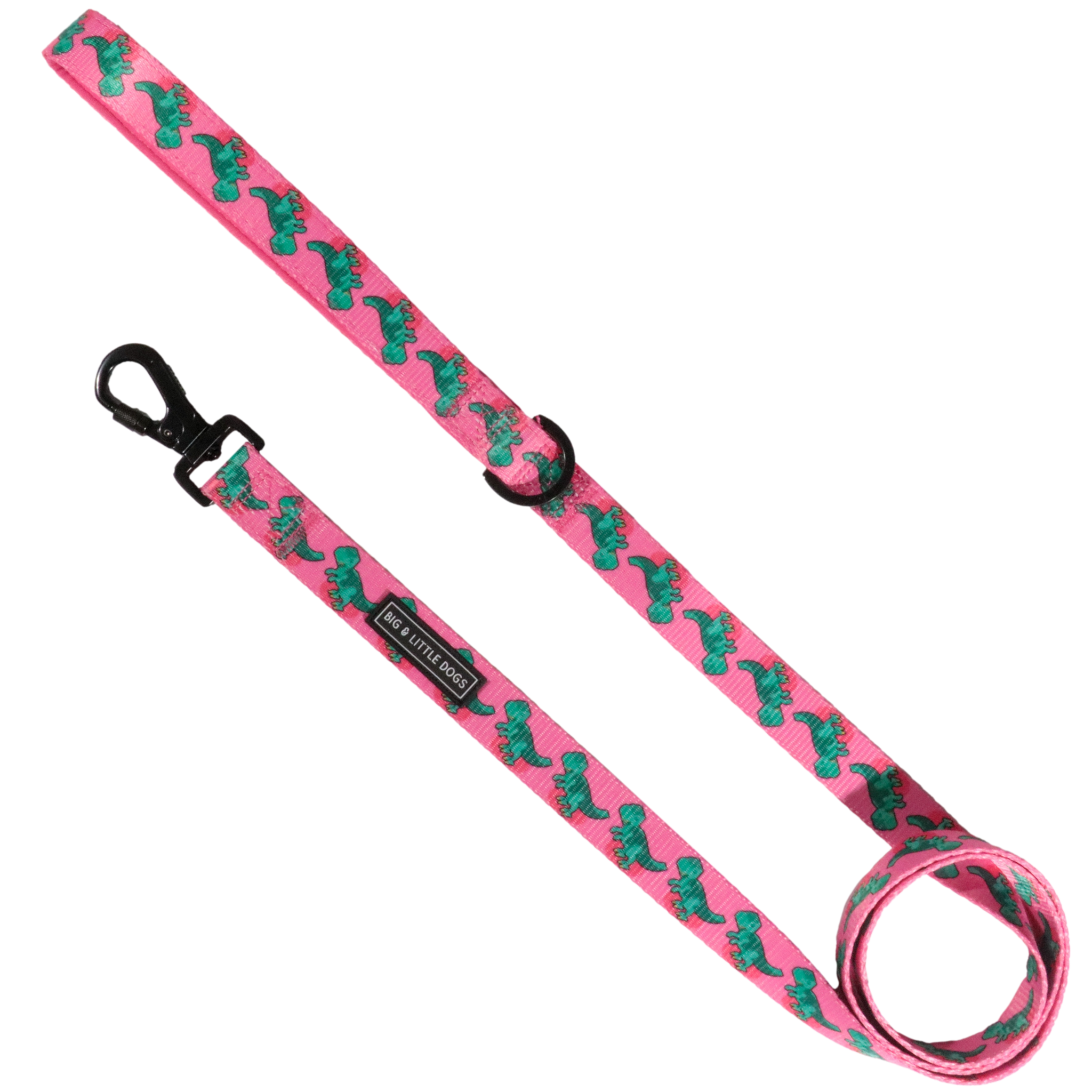 DOG LEASH: Princess-asaurus {FINAL SALE}