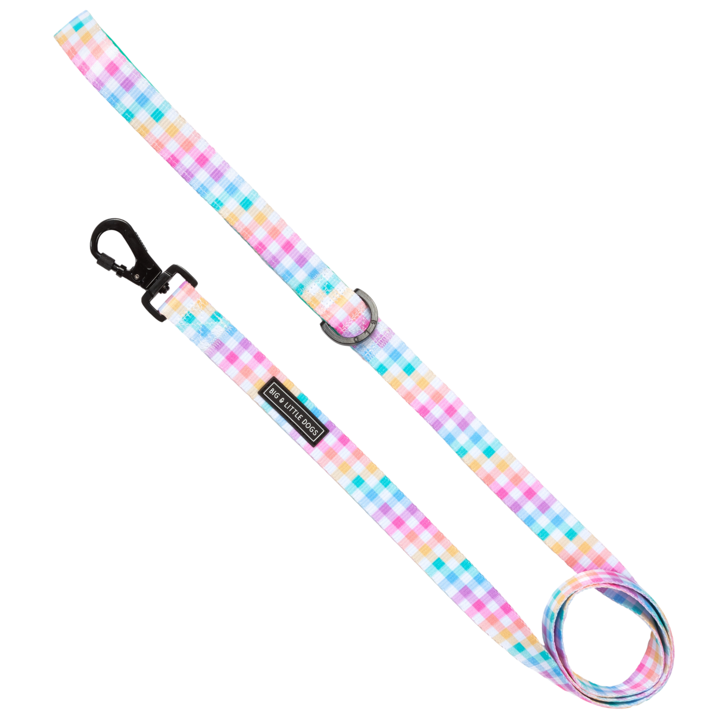 DOG LEASH: Rainbow Gingham