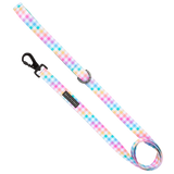 DOG LEASH: Rainbow Gingham