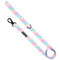 DOG LEASH: Rainbow Gingham