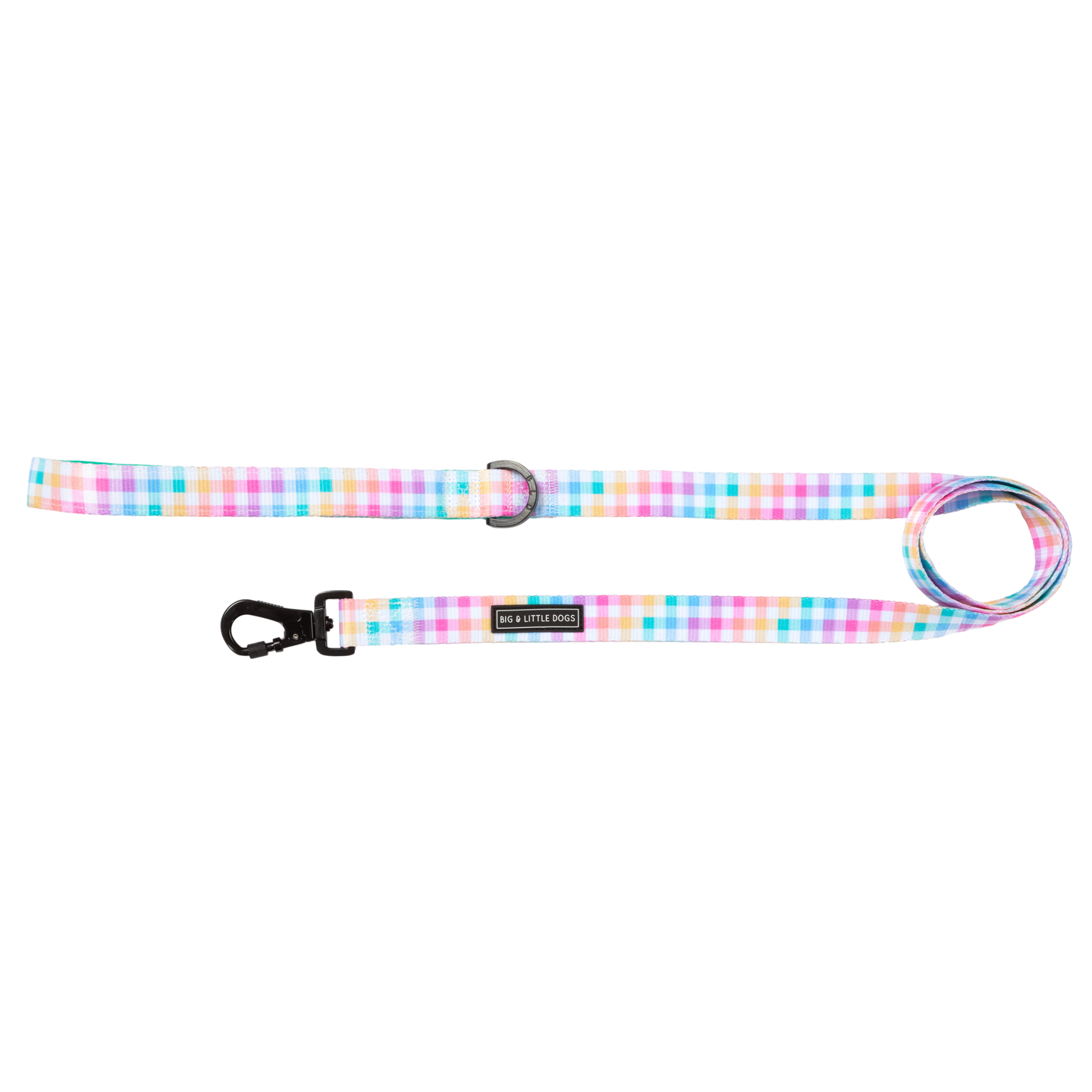 DOG LEASH: Rainbow Gingham