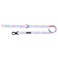 DOG LEASH: Rainbow Gingham