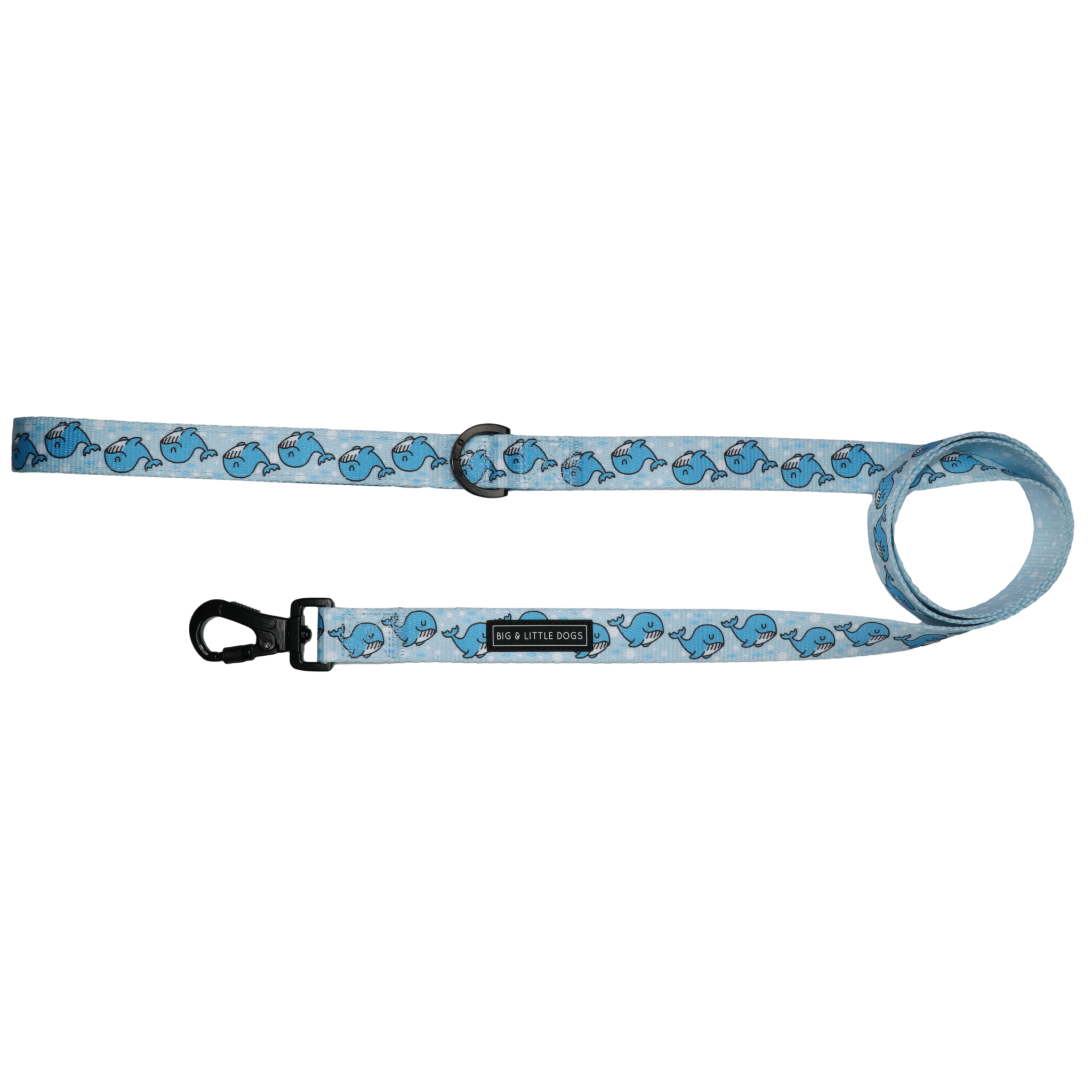 DOG LEASH: Whale, Hello There {FINAL SALE}