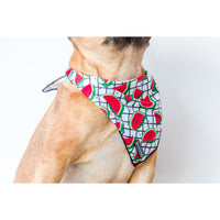 Dog Cooling Bandana A Slice of Summer Watermelons
