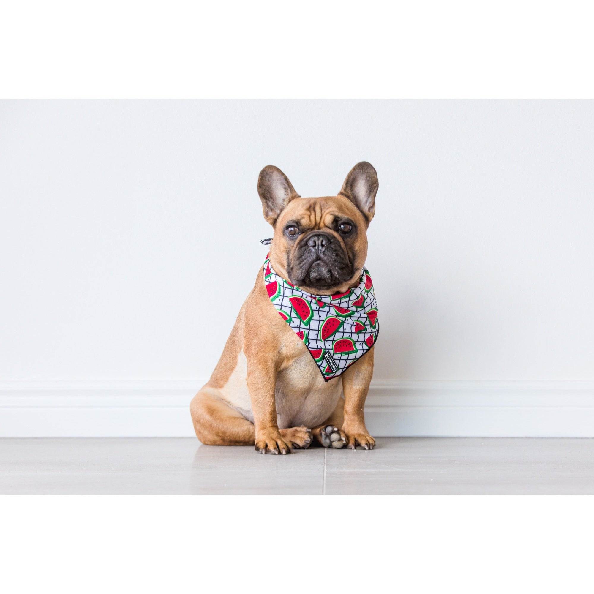 Dog Cooling Bandana A Slice of Summer Watermelons