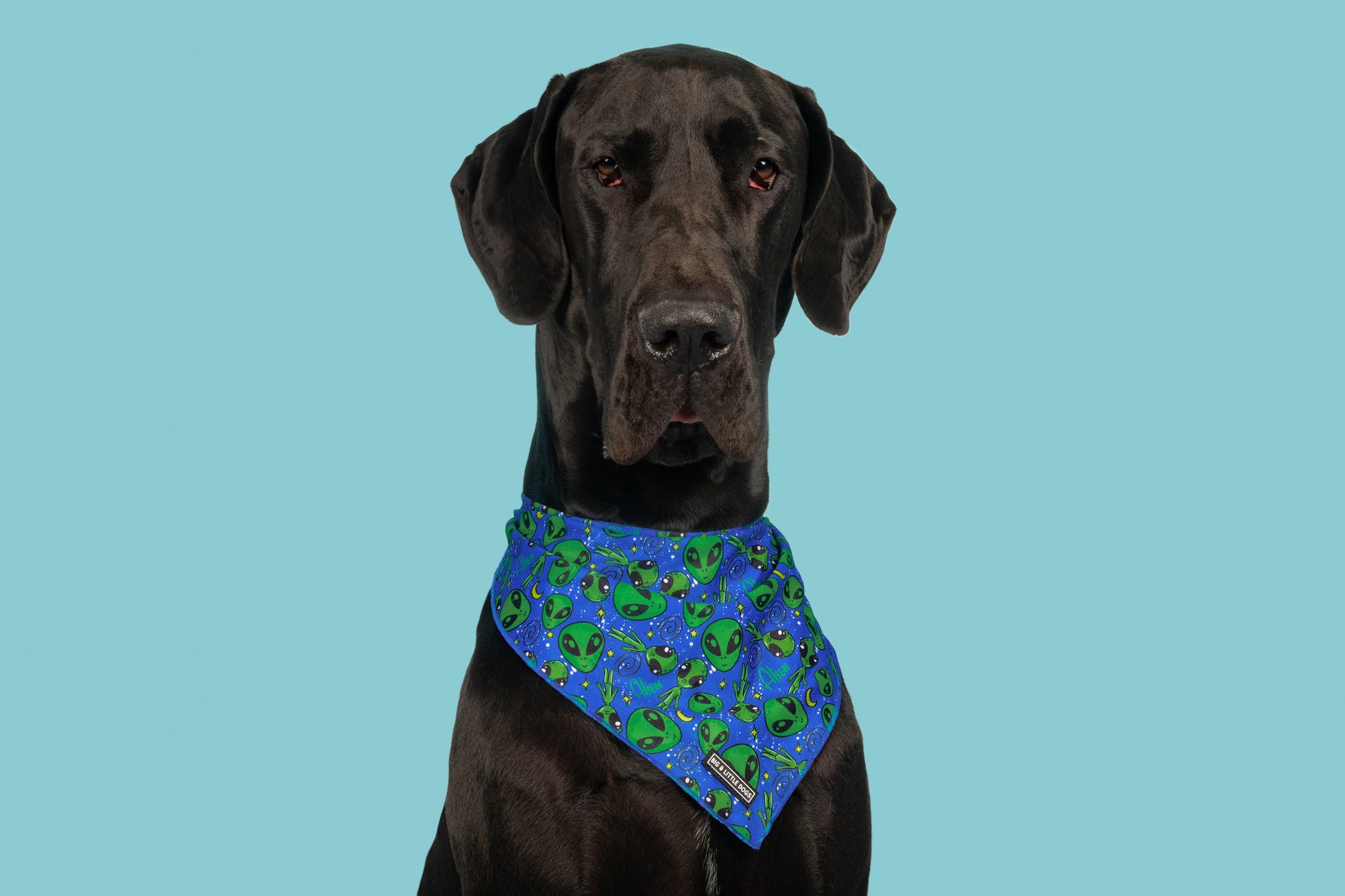 Dog Cooling Bandana Alien Invasion