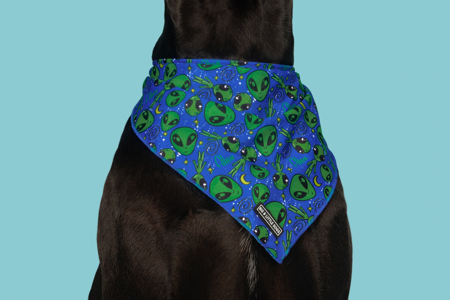 Dog Cooling Bandana Alien Invasion