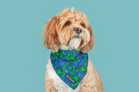 Dog Cooling Bandana Alien Invasion