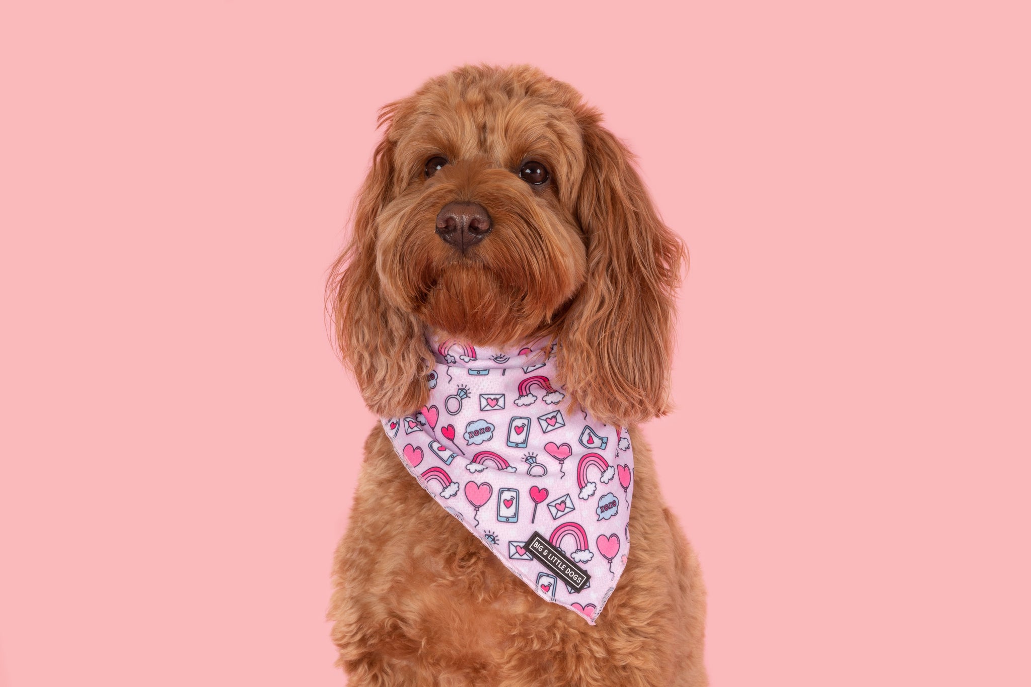 Dog Cooling Bandana Be Mine Valentines Day Hearts Love