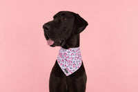 Dog Cooling Bandana Be Mine Valentines Day Hearts Love