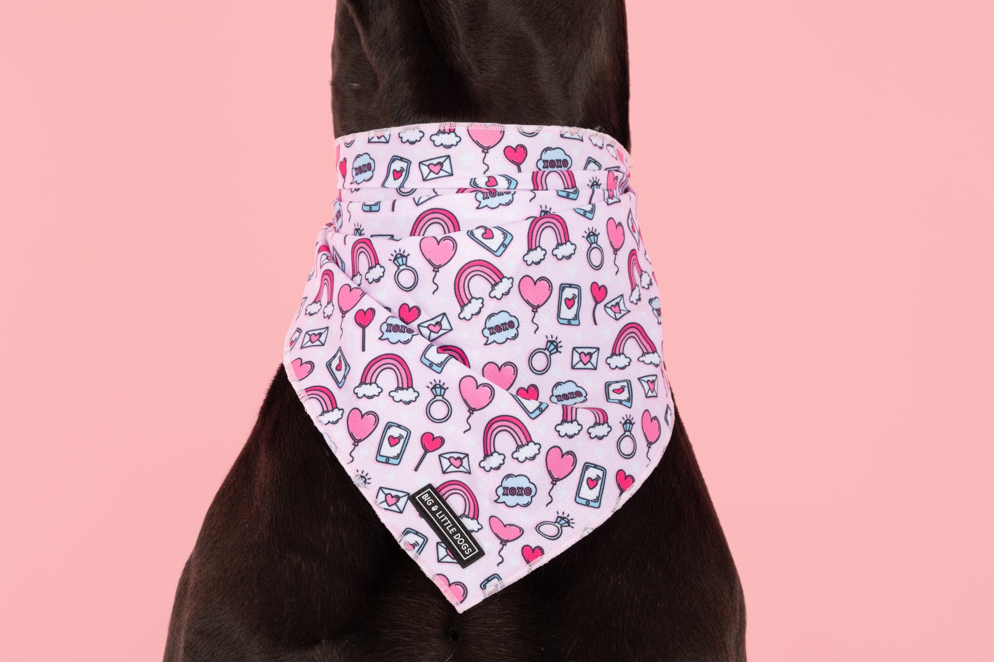 Dog Cooling Bandana Be Mine Valentines Day Hearts Love