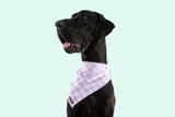 Dog Cooling Bandana Berry Purple Gingham