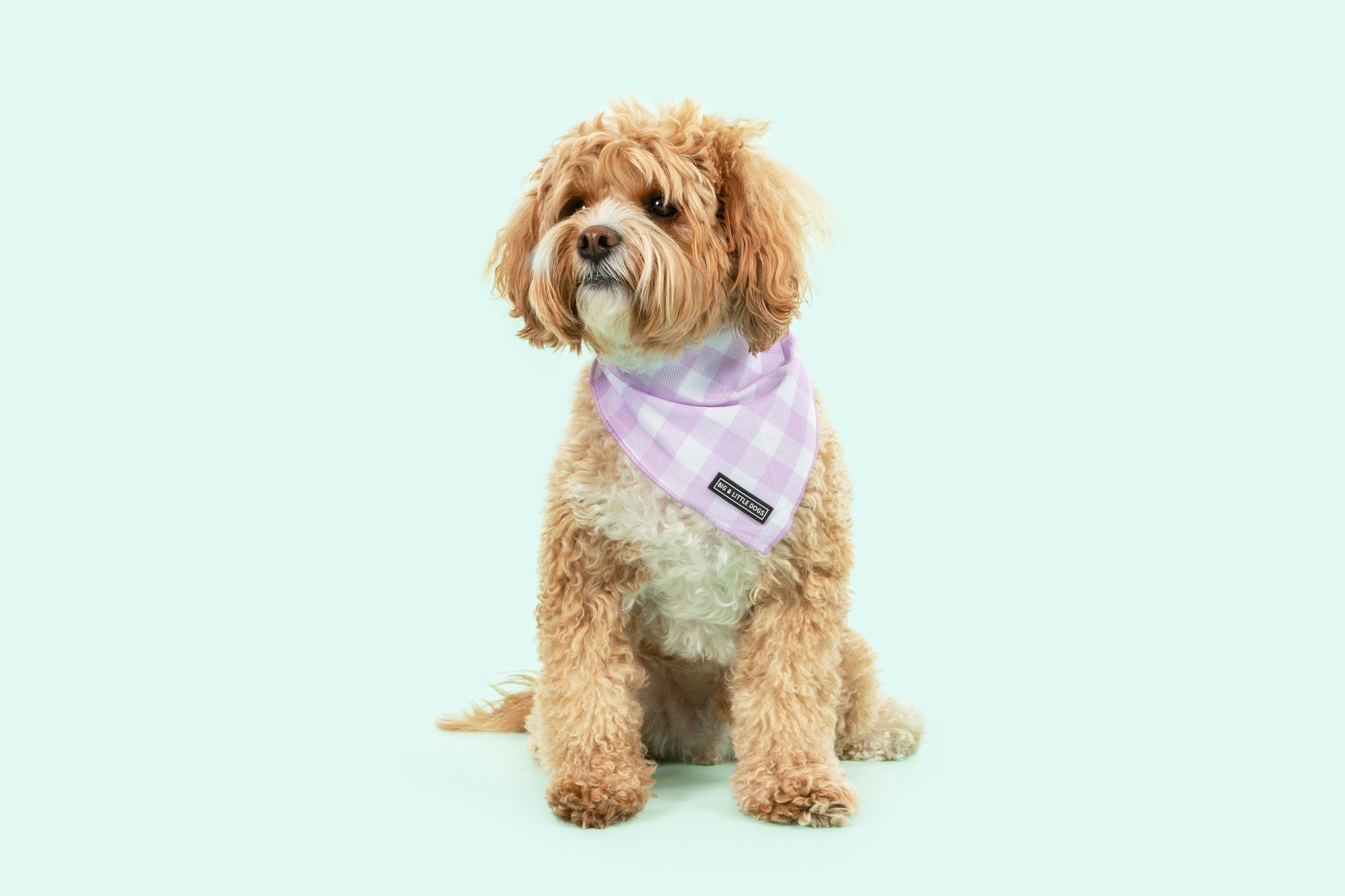 Dog Cooling Bandana Berry Purple Gingham