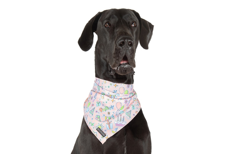 Cooling Dog Bandana Birthday Party Vibes