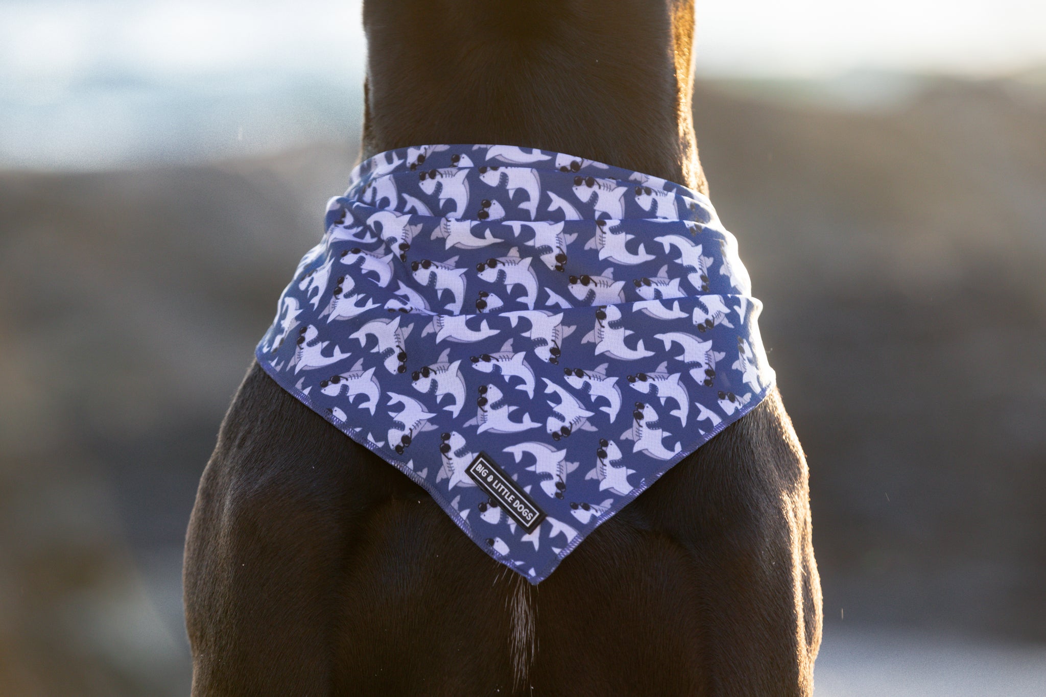 Dog Cooling Bandana Bite Me Blue Sharks