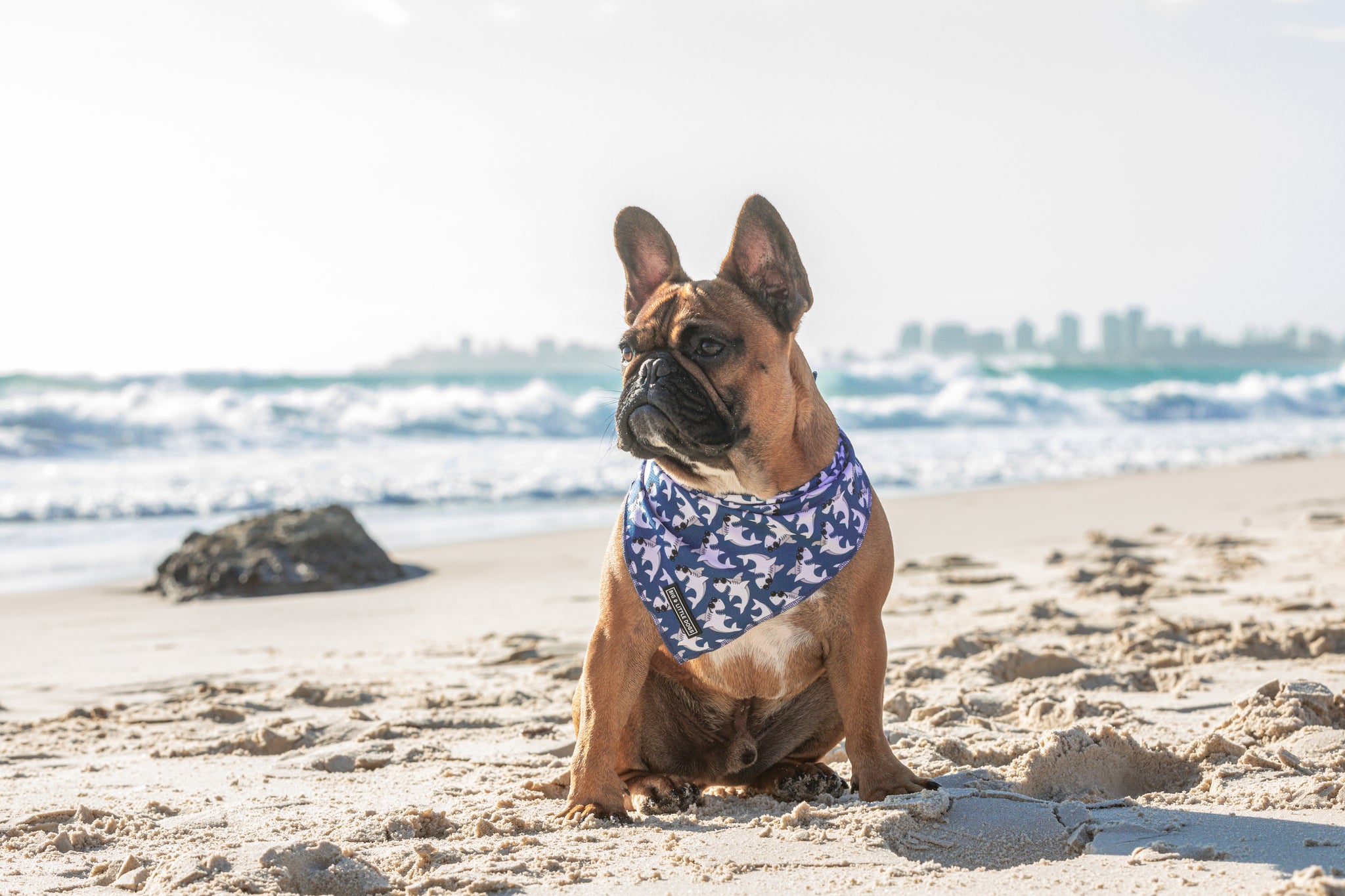 Dog Cooling Bandana Bite Me Blue Sharks