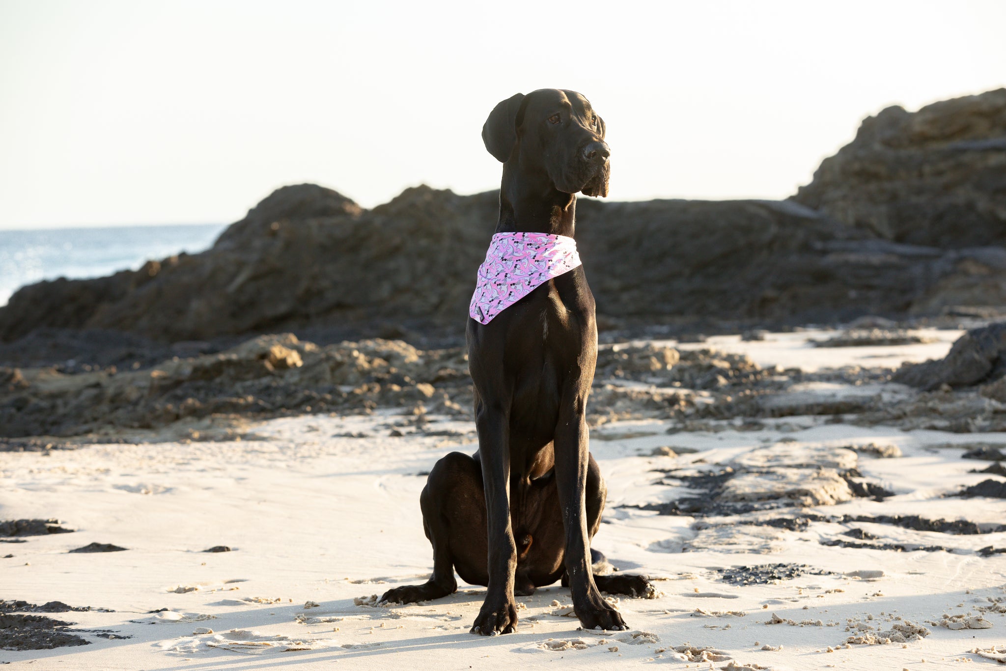 Dog Cooling Bandana Bite Me Pink Sharks