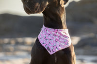 Dog Cooling Bandana Bite Me Pink Sharks