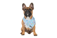 Cooling Dog Bandana Blue Confetti Birthday