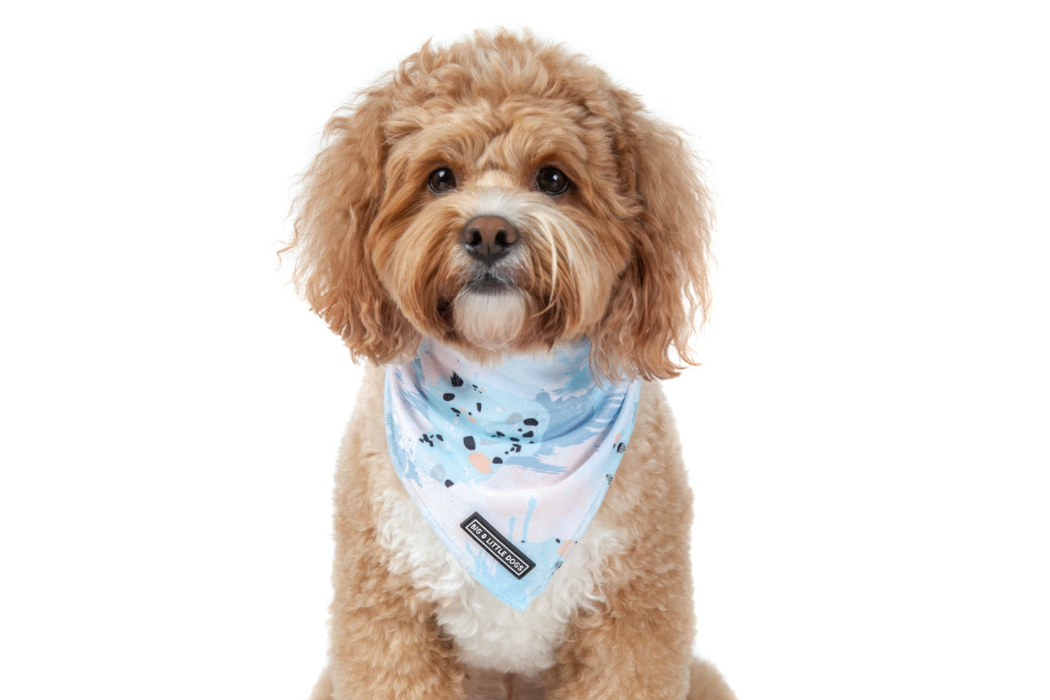 Dog Cooling Bandana Blue Splatter Terrazzo