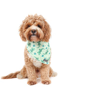 DOG BANDANA: Crikey Croc {FINAL SALE}