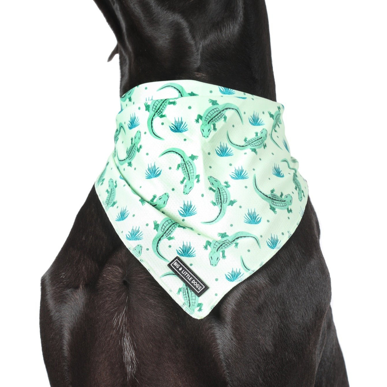 DOG BANDANA: Crikey Croc {FINAL SALE}