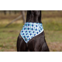 Dog Cooling Bandana Diamond in the Rough