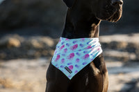 Dog Cooling Bandana Don't Be Jelly Jellyfish