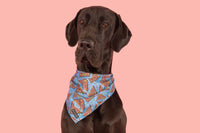 DOG BANDANA: Blue Fairy Bread