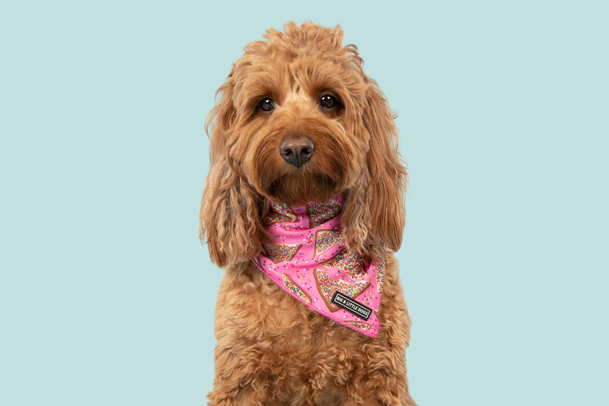 DOG BANDANA: Pink Fairy Bread