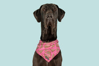 DOG BANDANA: Pink Fairy Bread