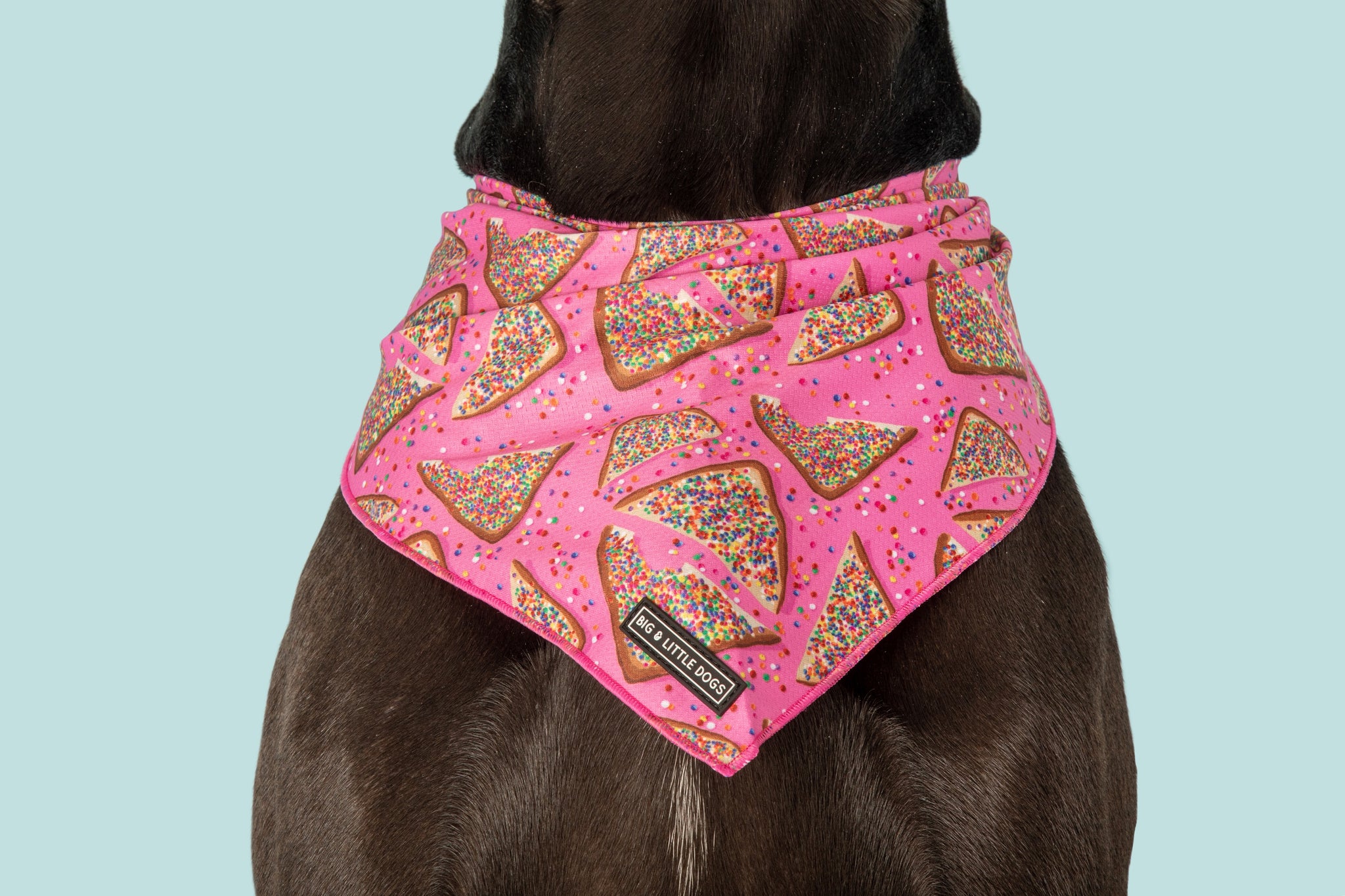 DOG BANDANA: Pink Fairy Bread