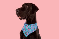 Dog Cooling Bandana Flocking Fabulous Flamingoes