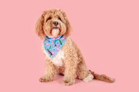 Dog Cooling Bandana Flocking Fabulous Flamingoes