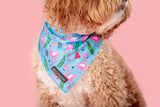 Dog Cooling Bandana Flocking Fabulous Flamingoes