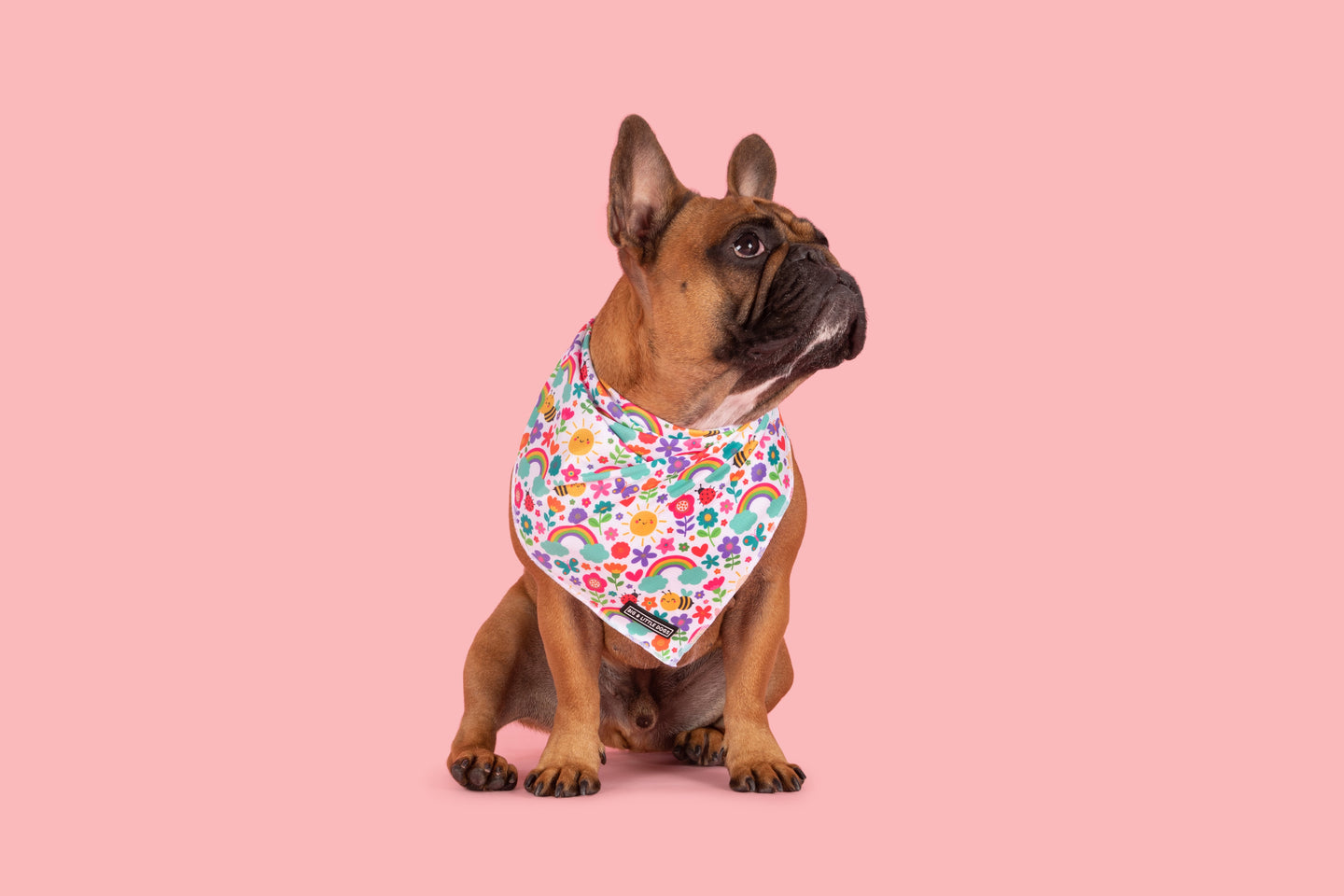 Dog Cooling Bandana Follow The Rainbow Rainbows Pink Sunshine Flowers Pastels Colourful Girl