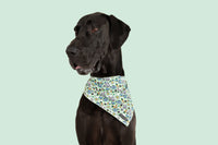 Dog Cooling Bandana Hey There Hop Stuff Easter Bunny Garden Carrot Eggs