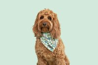 Dog Cooling Bandana Hey There Hop Stuff Easter Bunny Garden Carrot Eggs